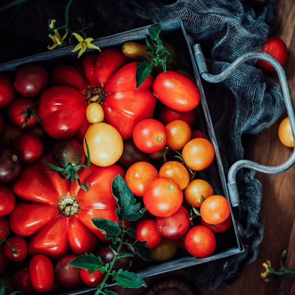 Provence Vintage Serving Tray