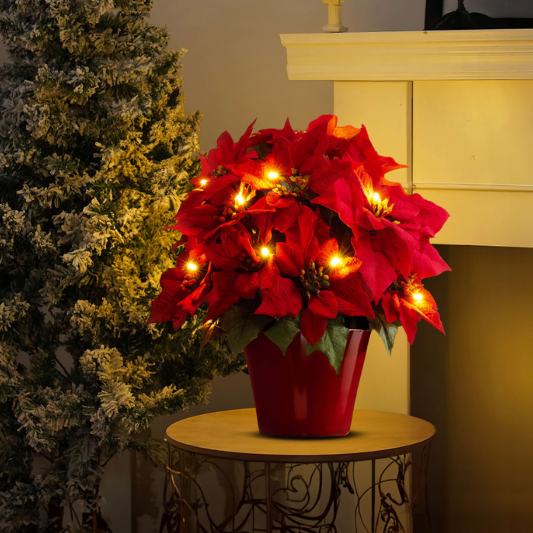 Rubyana Radiant Poinsettia Flower Bouquet